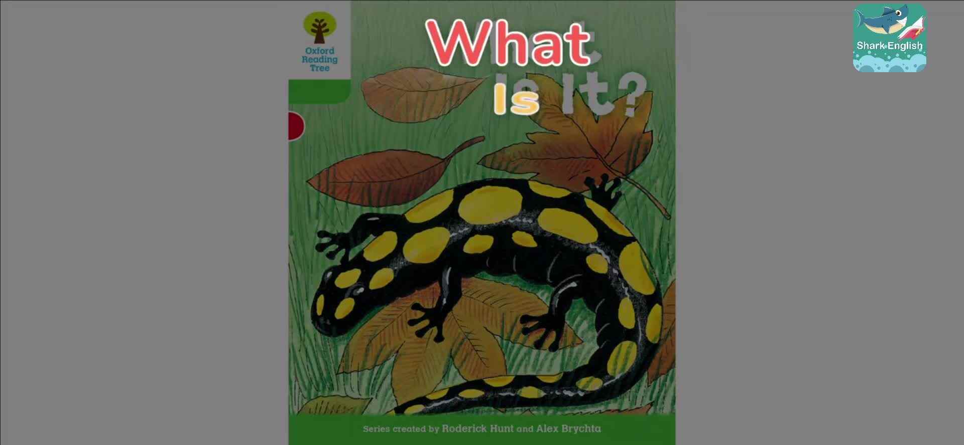ORT36-正课2-What Is It