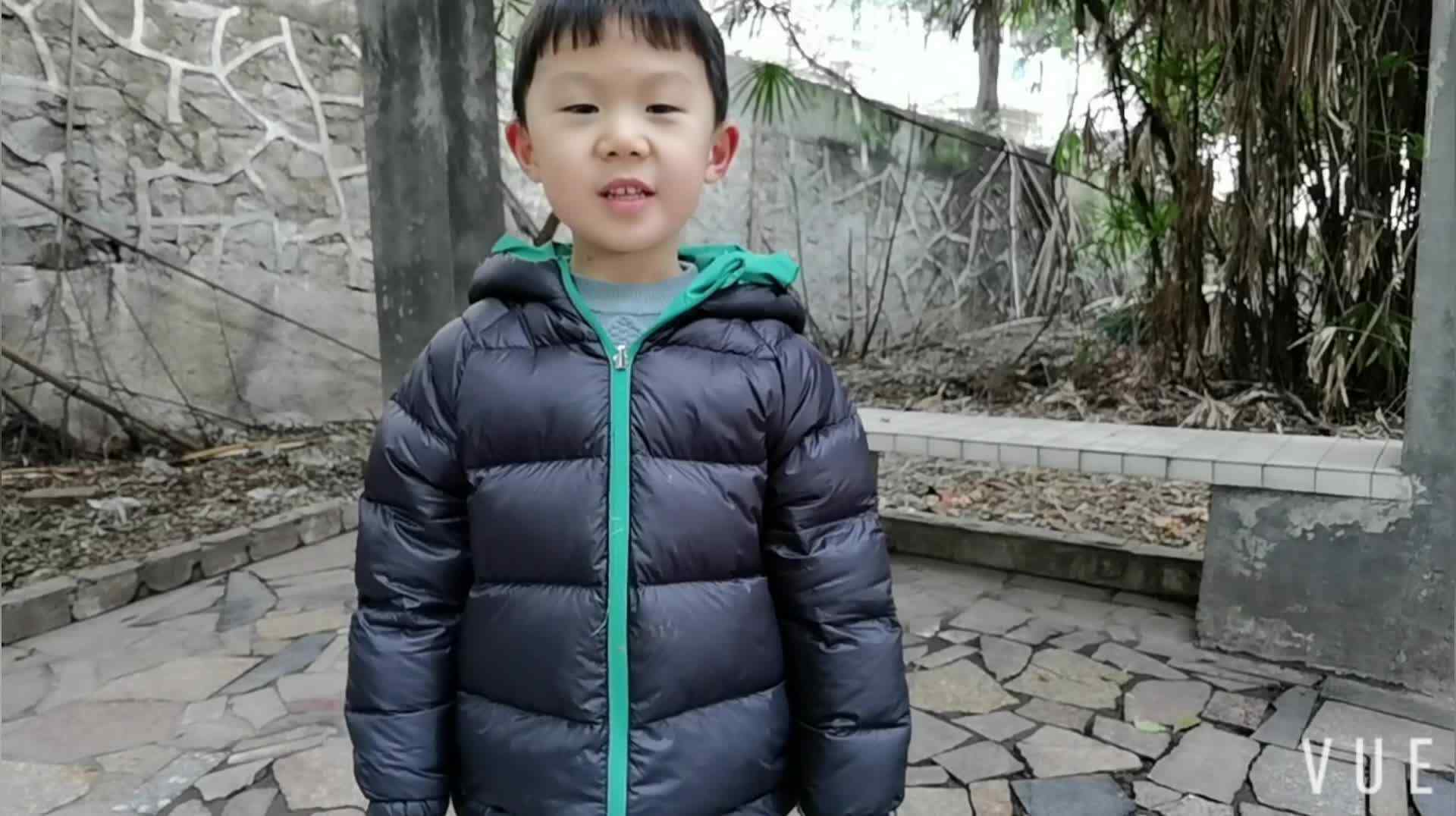 寻找生活中的竹子.mp4