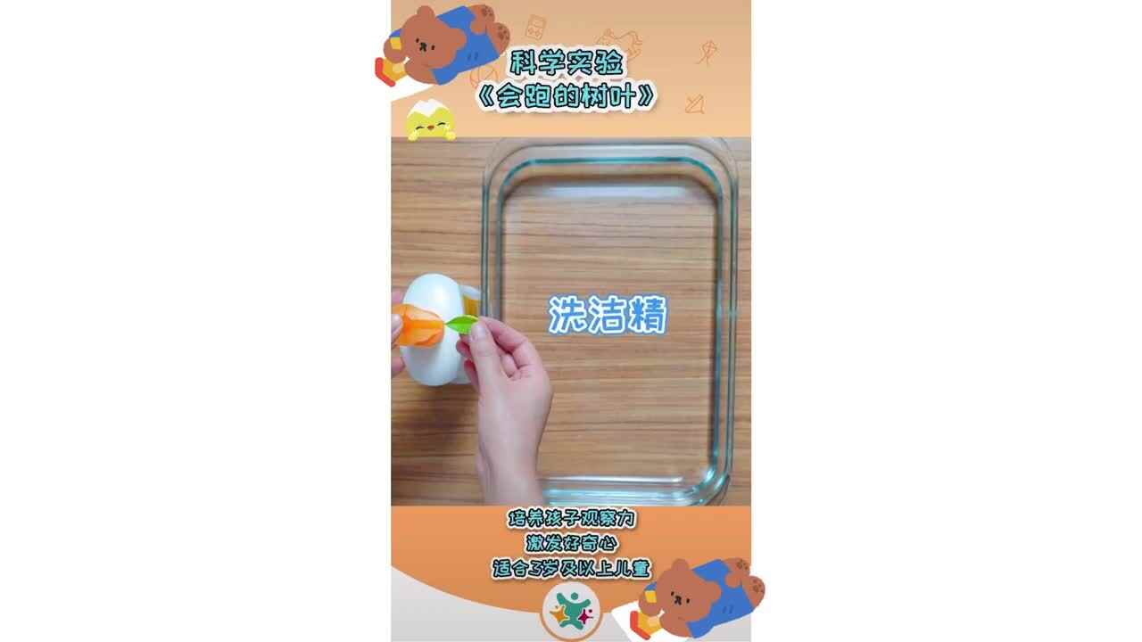 科学小实验—《会跑的树叶》