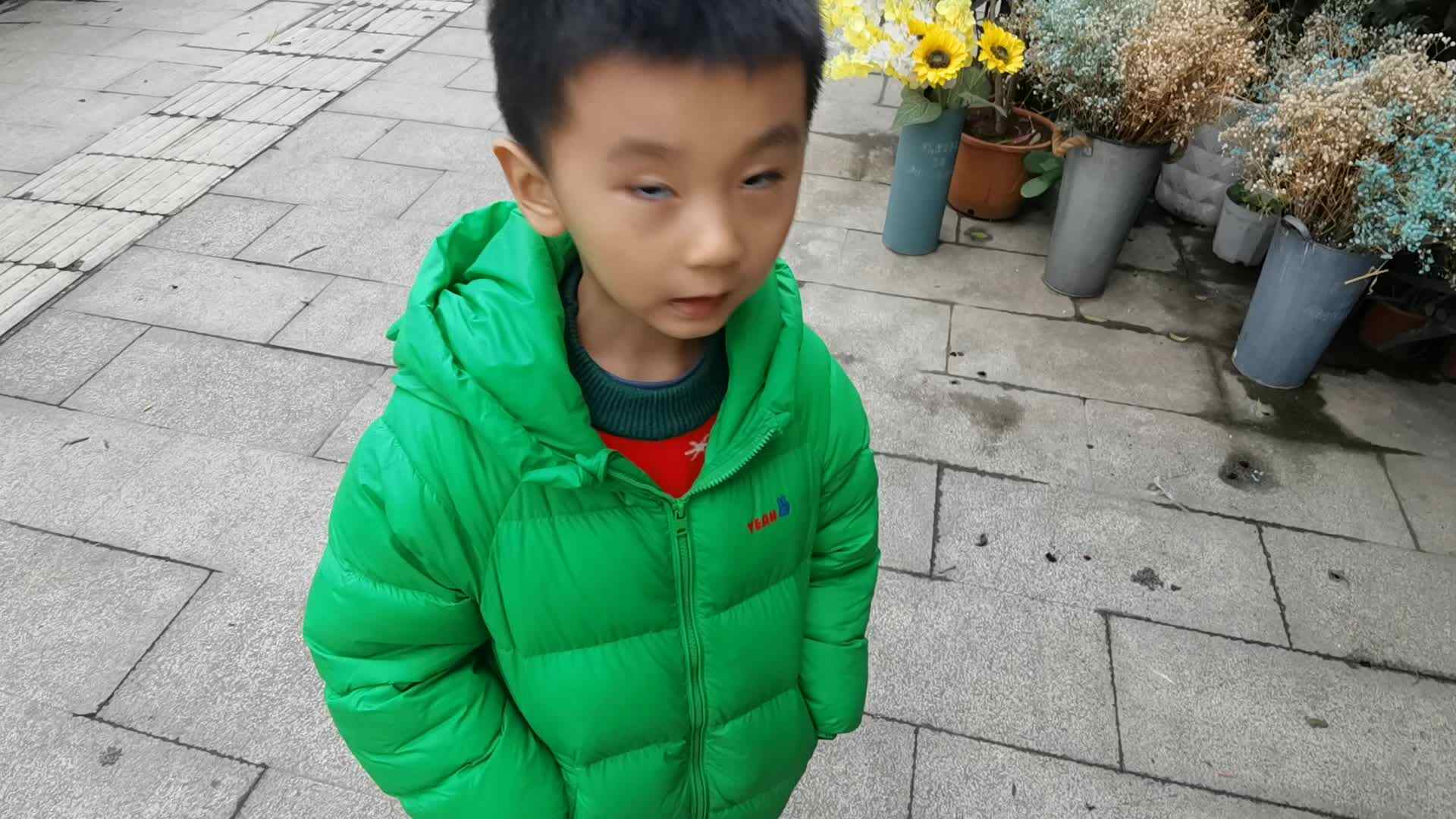 2023级B班刘梓浩闯关练习探索郁金香.mp4