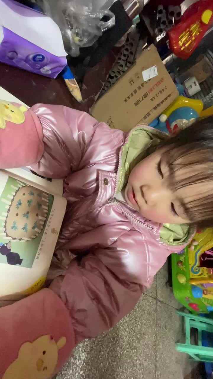熊小弟的栅栏