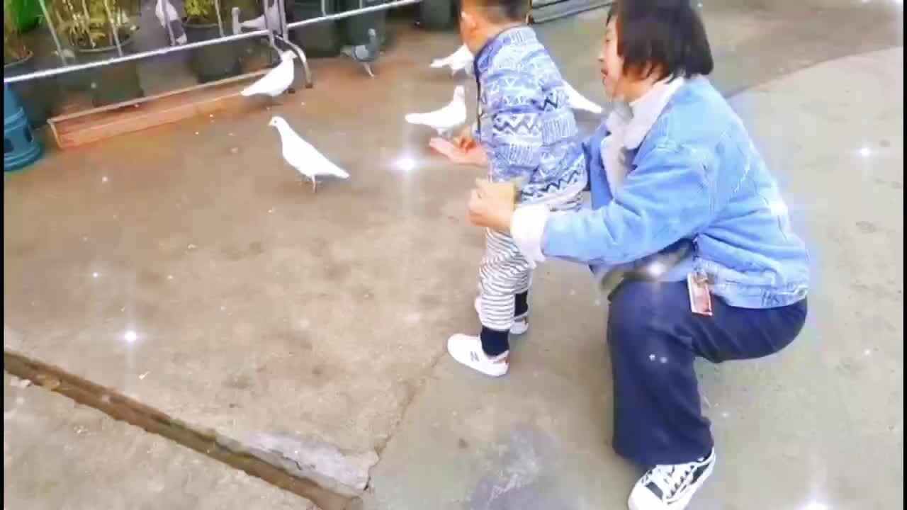 ⁣⁣⁣神秘符号博物馆——研学活动：亲子户外投喂鸽子（4岁组）