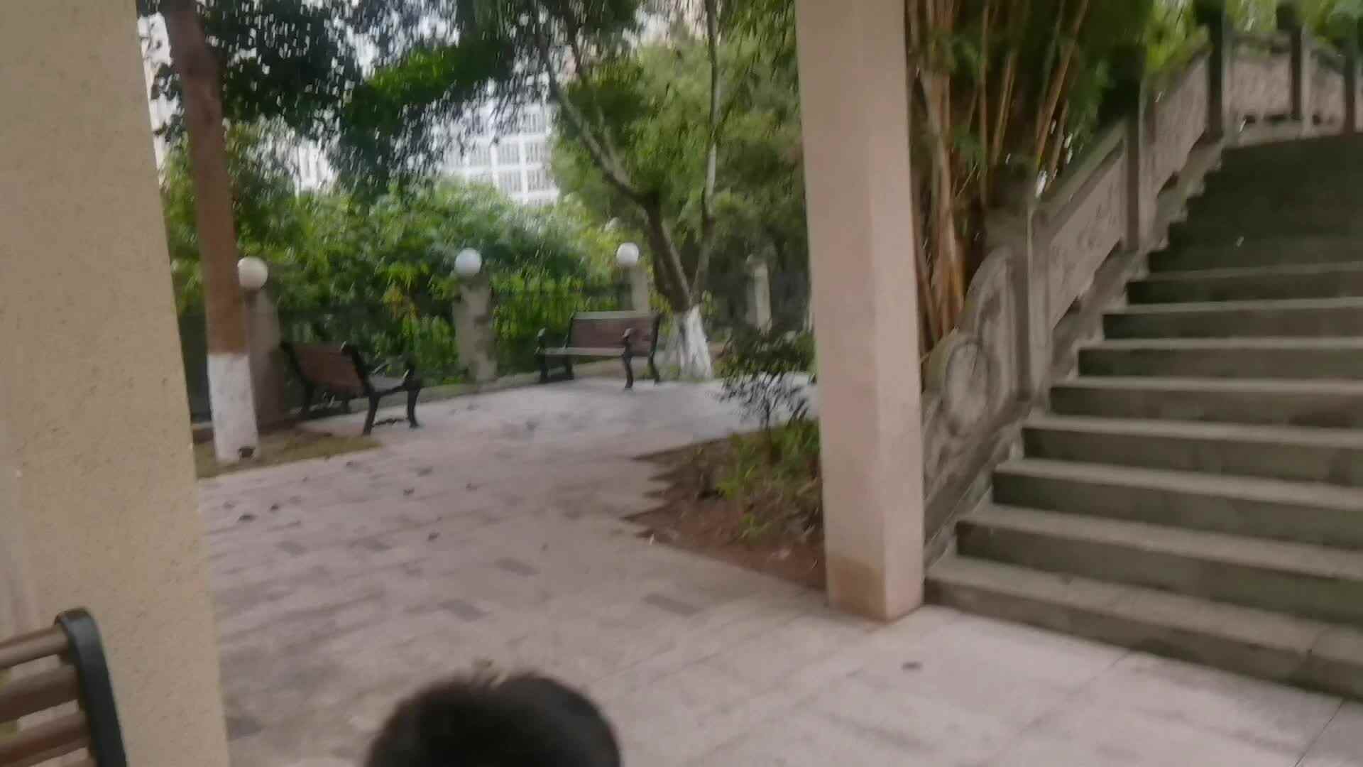 寻找竹子