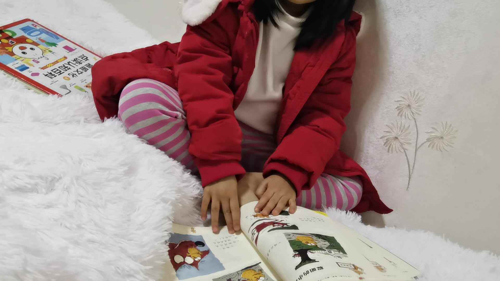 复习《聪敏的小鸡》
