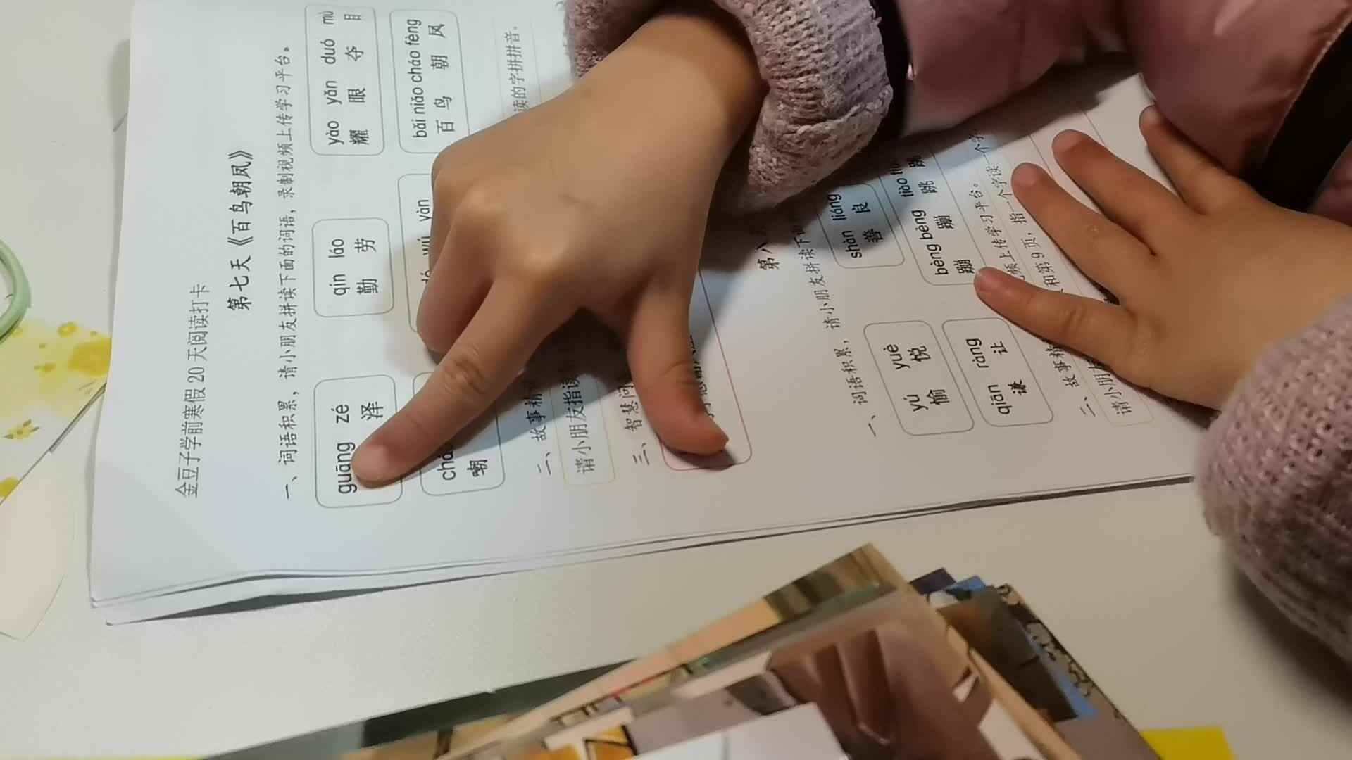 百鸟朝凤1.mp4