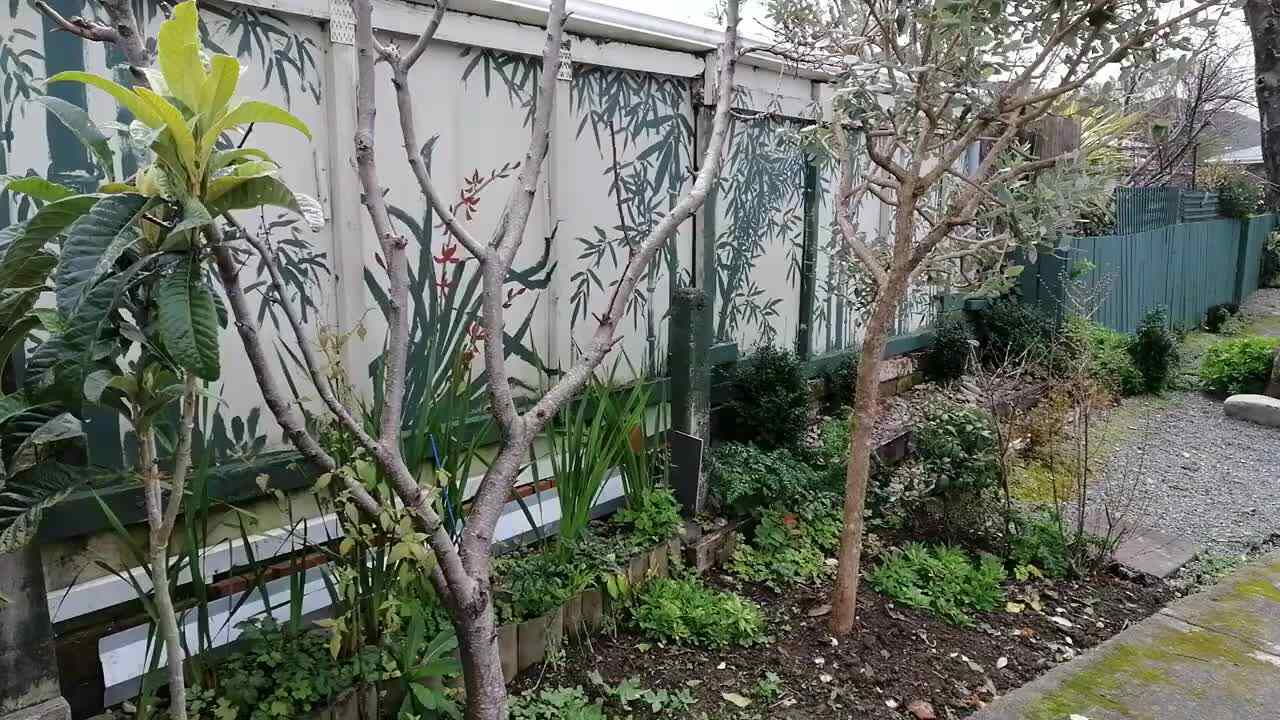 国画竹子教学-布局及要点解说_Bamboo-Layout‖Chinese Painting