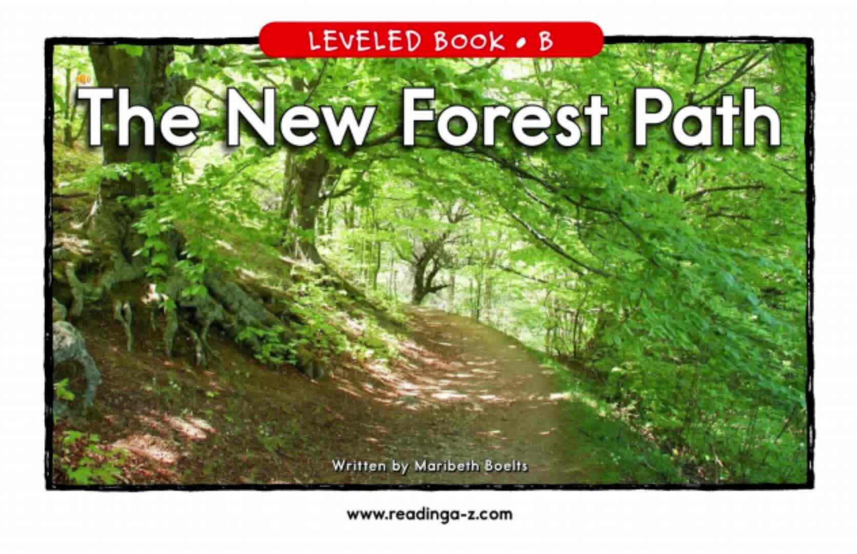 B-14The New Forest Path
