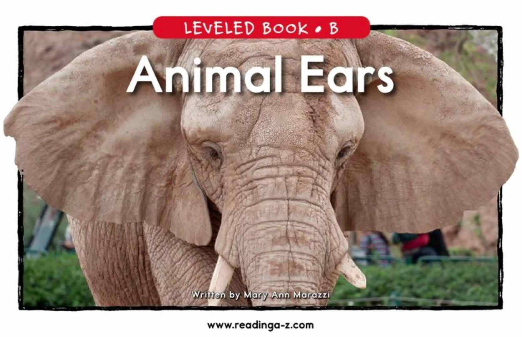 B-13Animal Ears