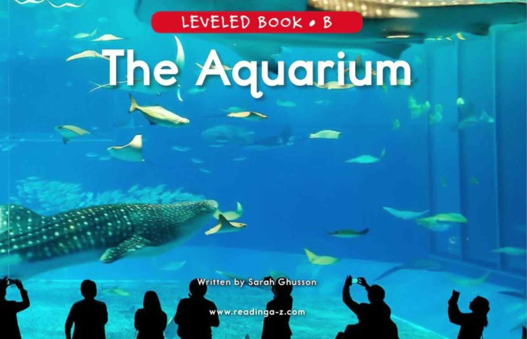 B-44The Aquarium