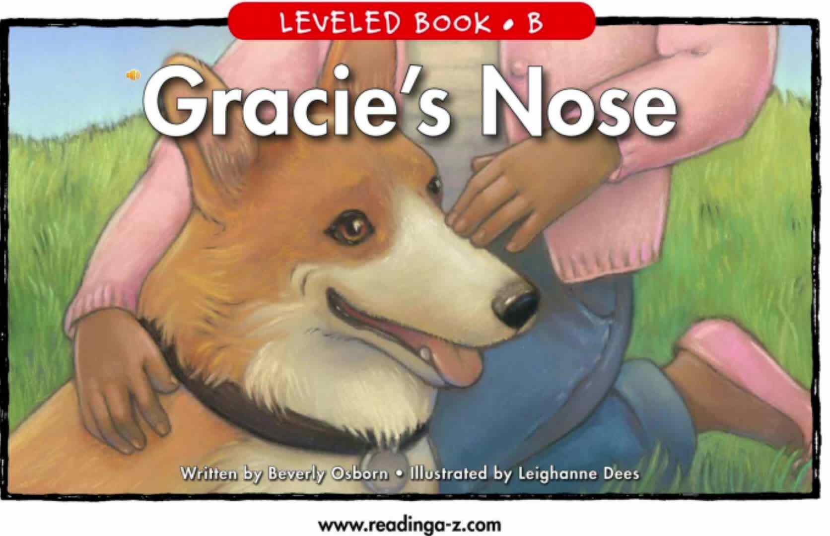 B-03Gracies Nose