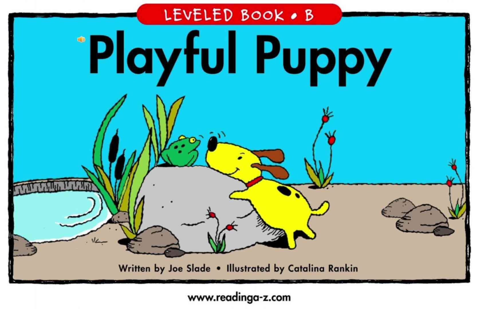 B-04Playful Puppy