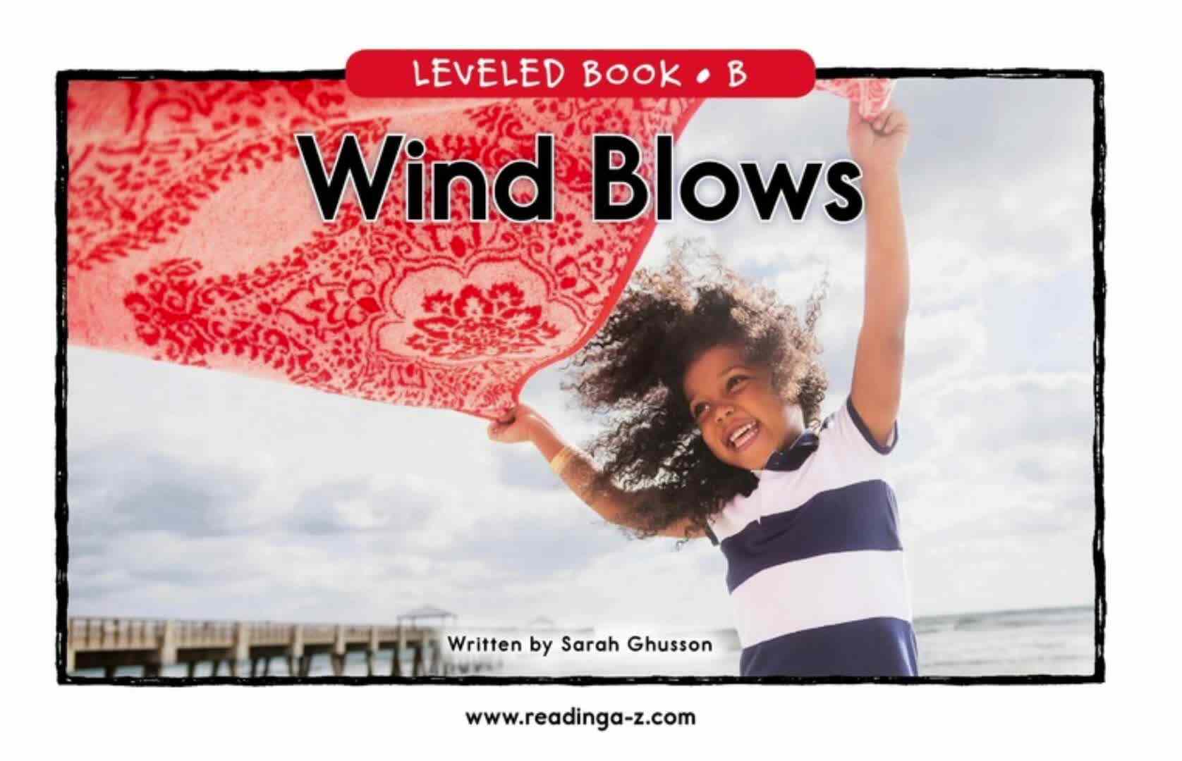 B-24Wind Blows