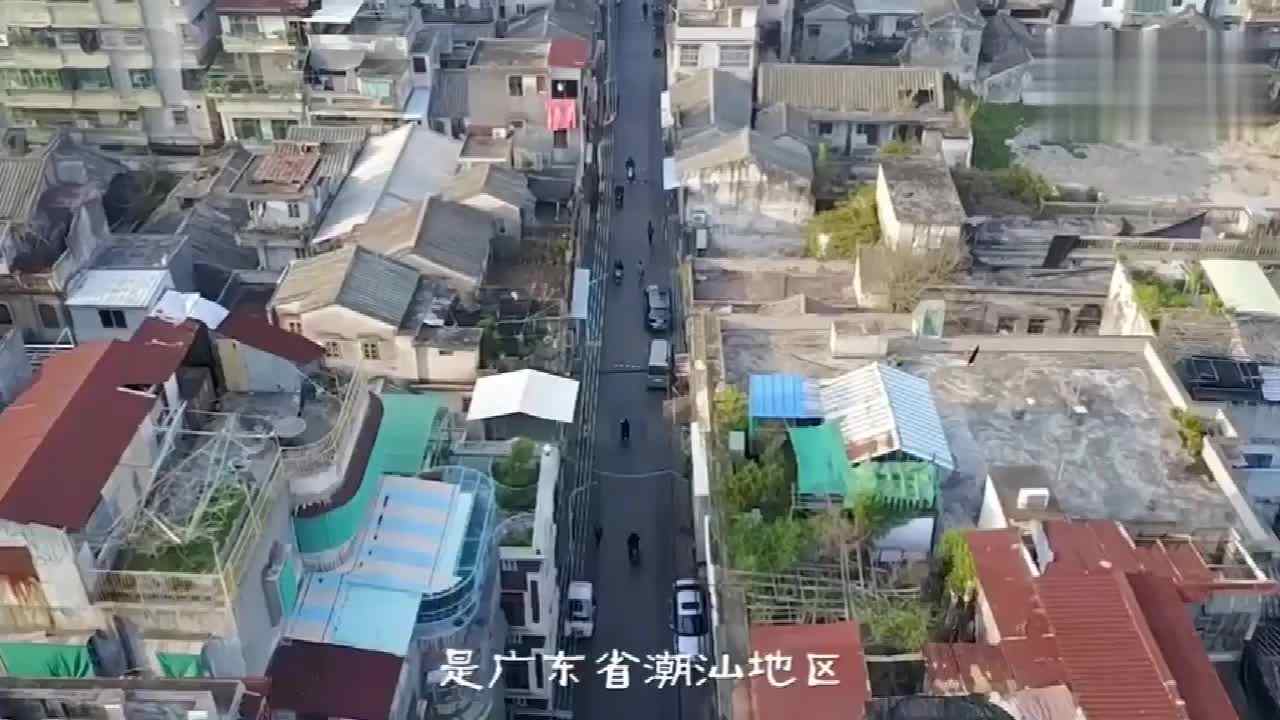 最新潮州工夫茶完整二十一式 演示者代表性传承人龙素芳