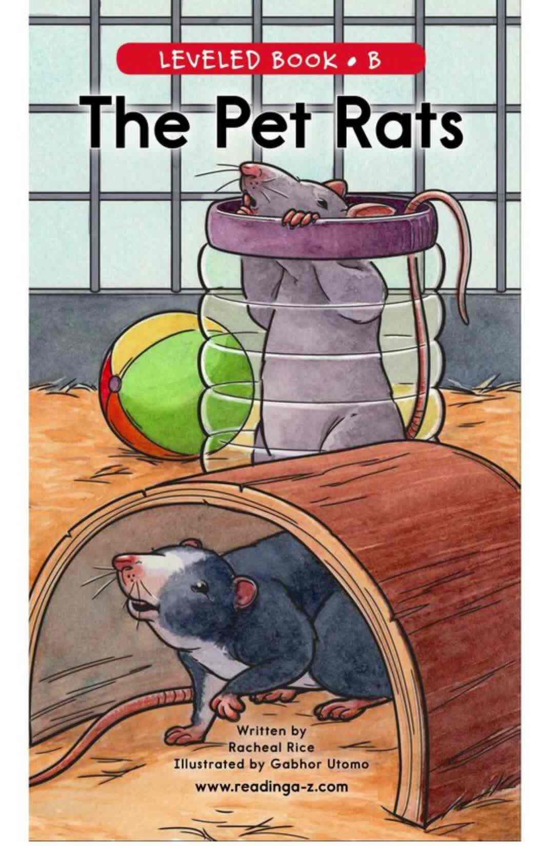B-02The Pet Rats