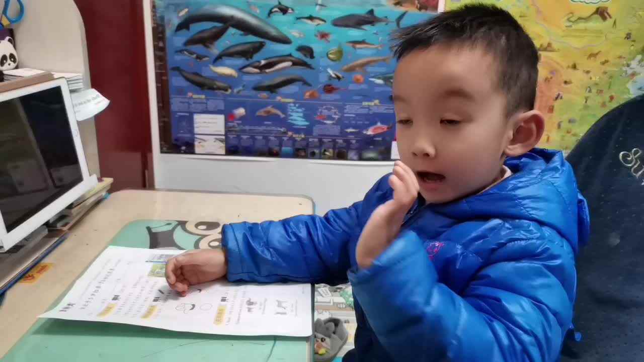 【逻辑思维游戏】mp4