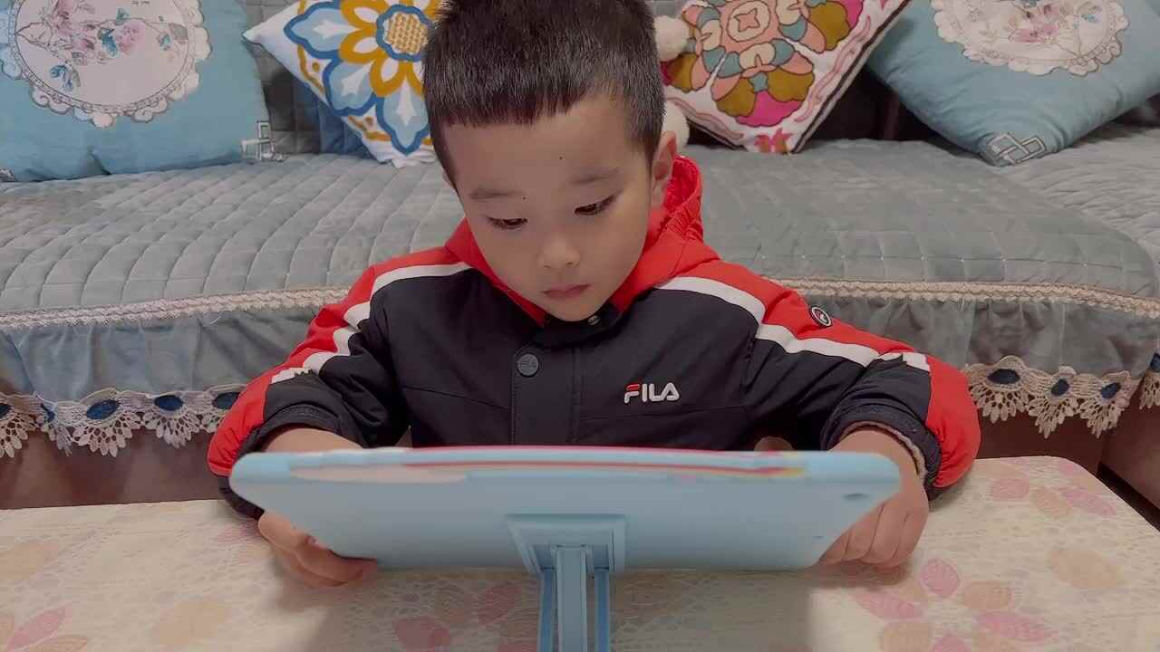 学B班丶李北辰阅读打卡（百鸟朝凤）