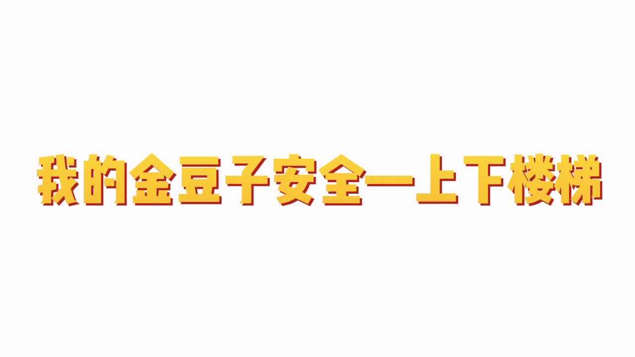我的金豆子安全——校园安全