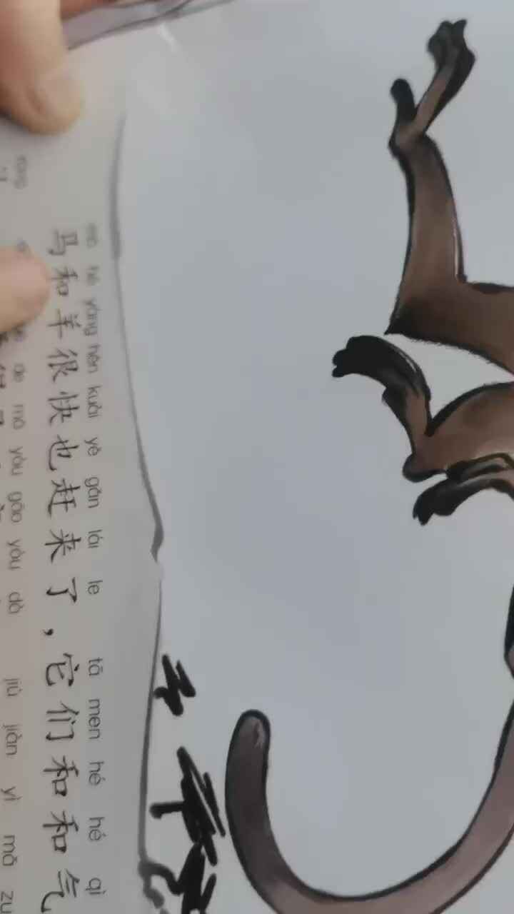 trim.13D0ACF9-9165-4940-A1FB-EFB6AF518D77.MOV