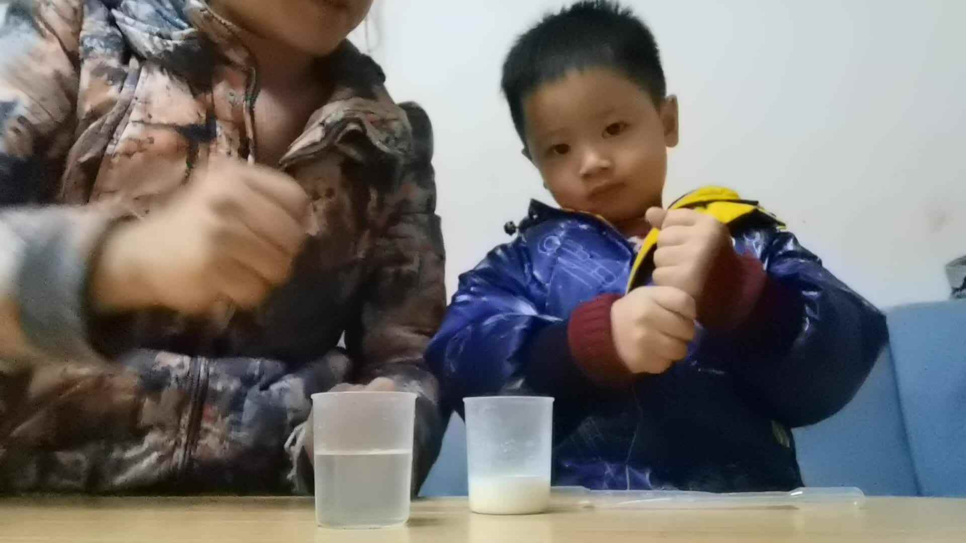 2022.2.22科学小实验《水中烟花》