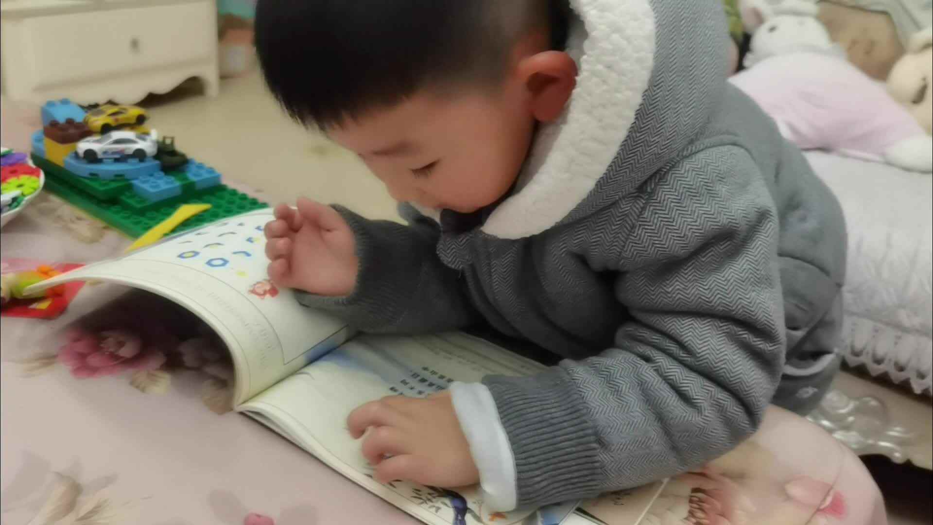 指读和观看古诗《题西林壁》.mp4