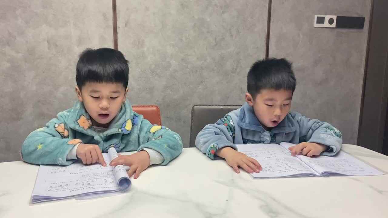 2022.1.31 赵俊熹赵俊臣《沉香救母》词语积累