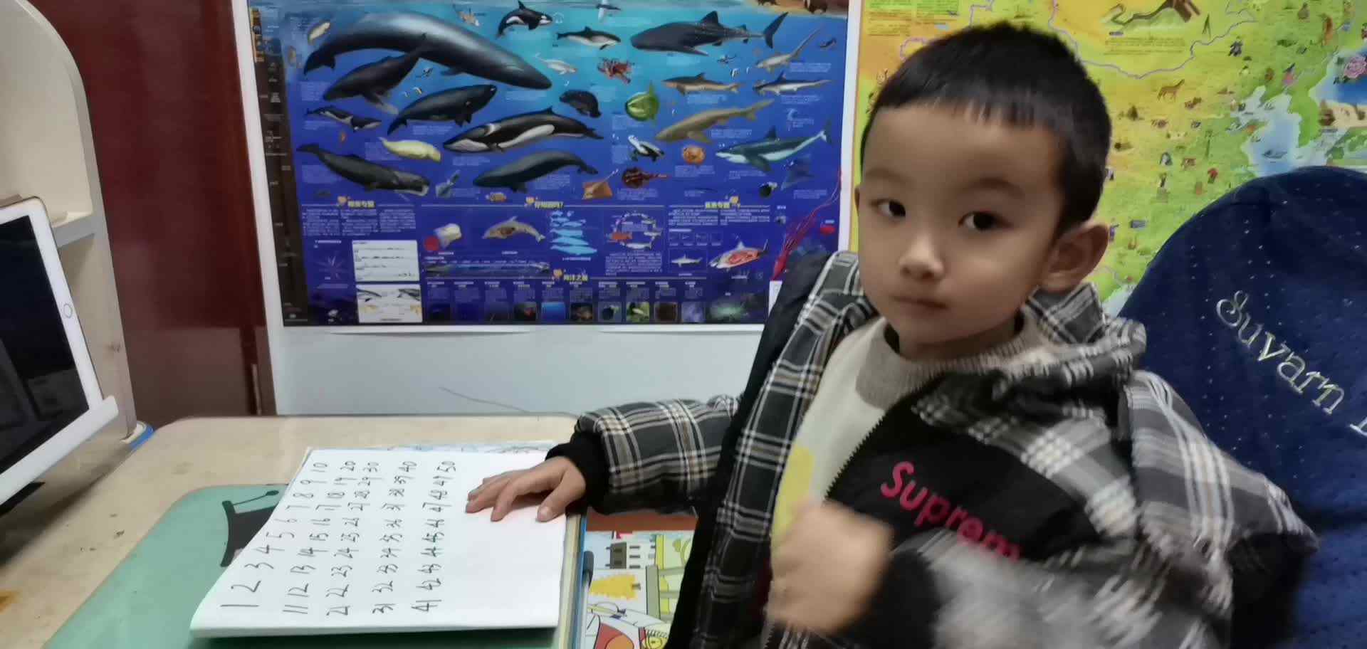 《1-50数字倒数和顺数练习》mp4