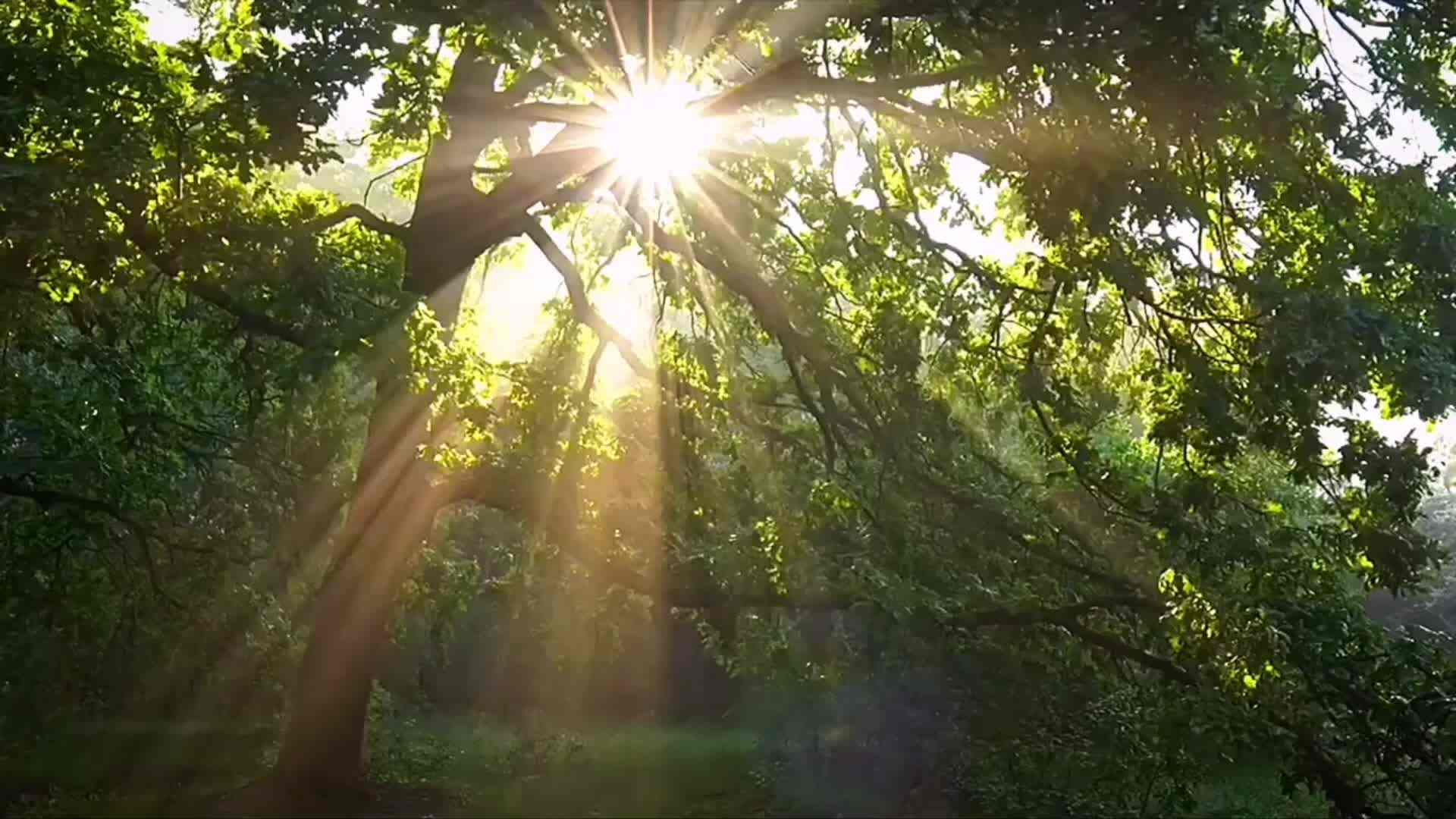 开学啦mp4