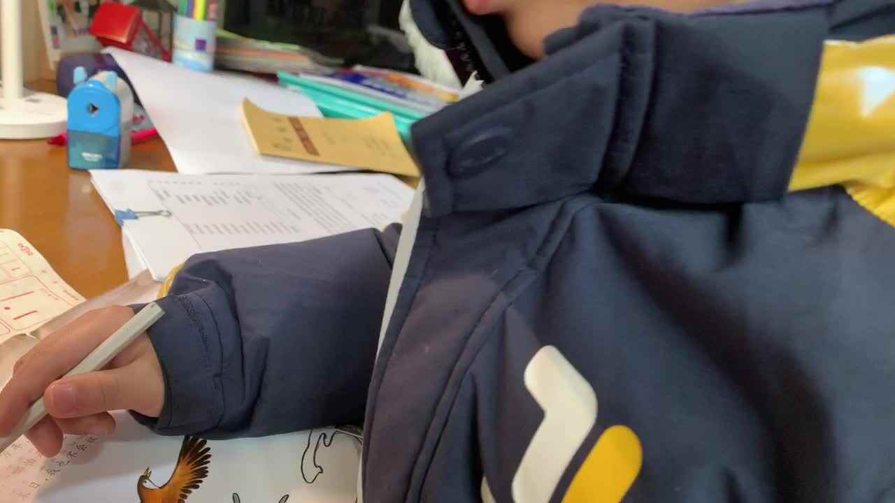 2.9阅读打卡《精卫填海》故事精读