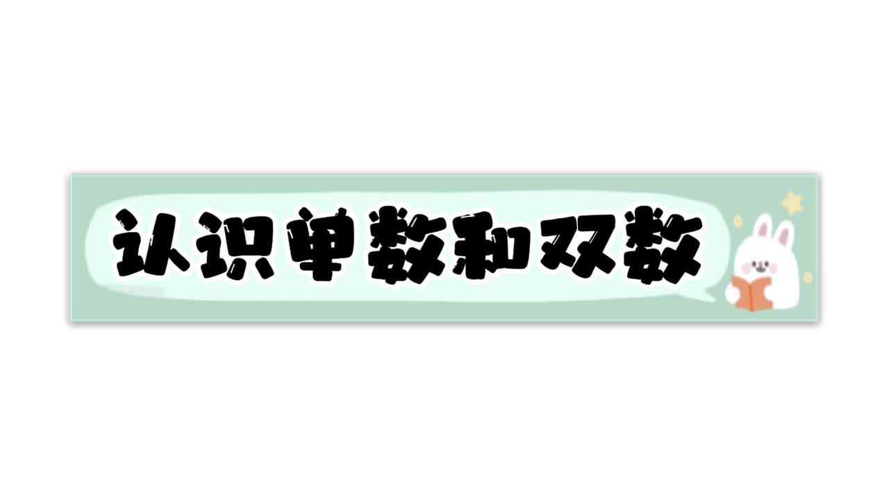 认识单数和双数