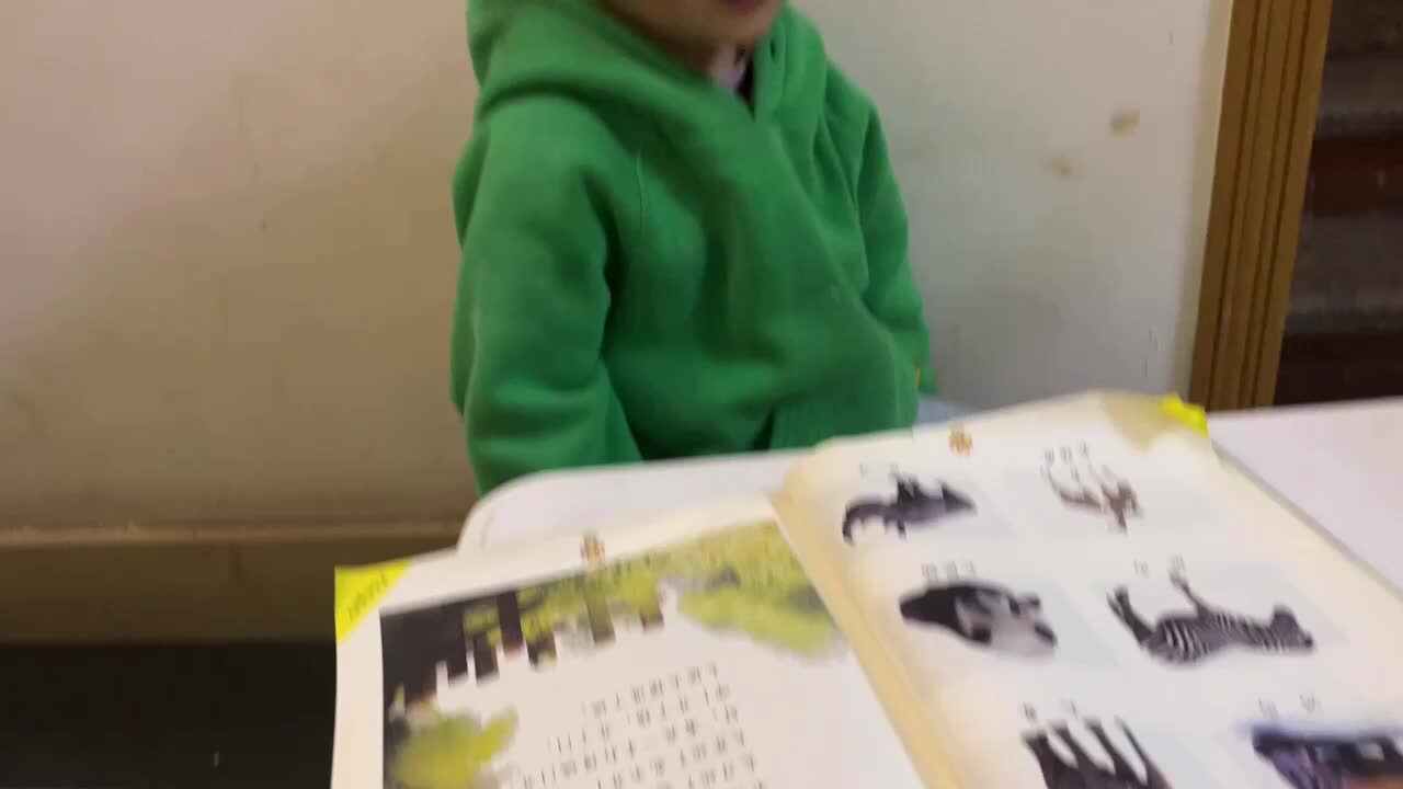 罗一:认识动物