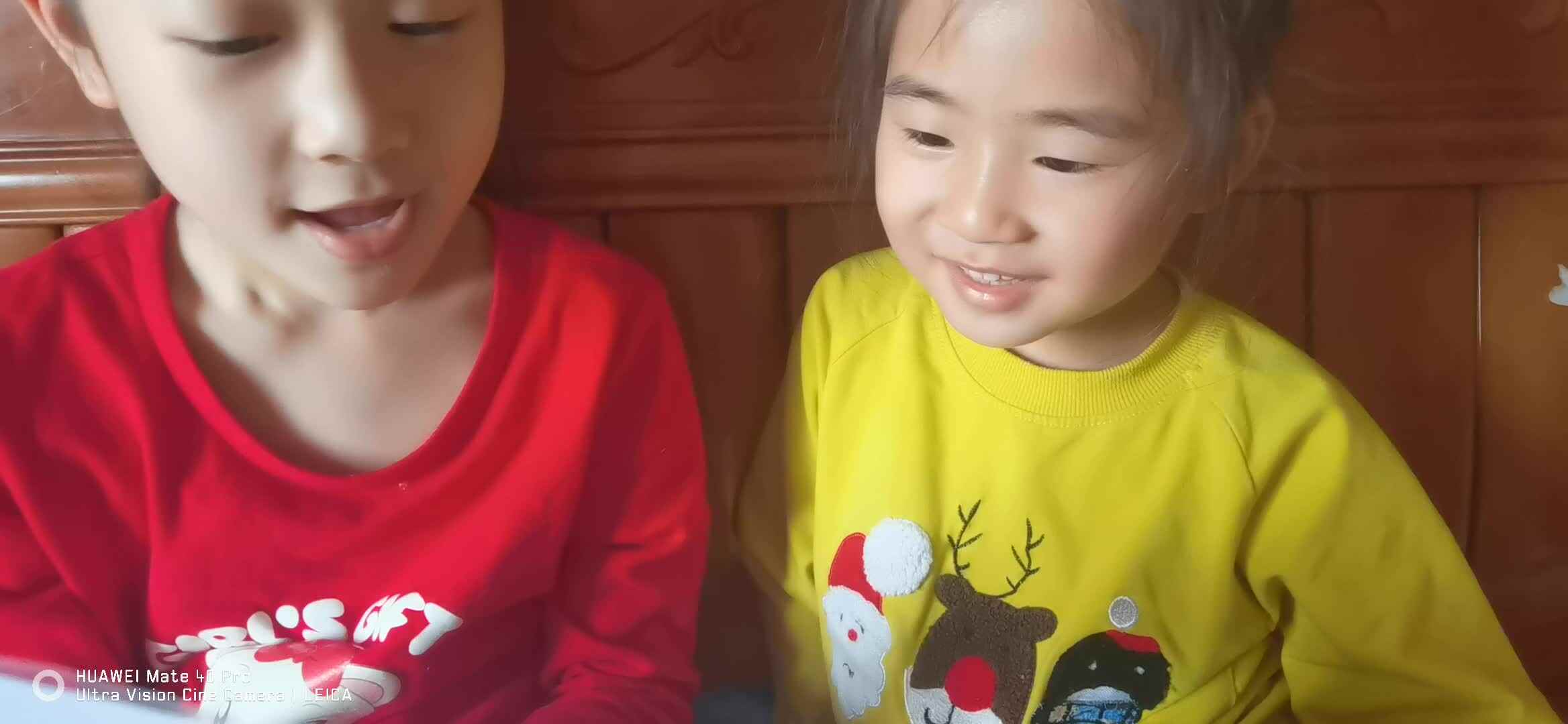 了解康乃馨