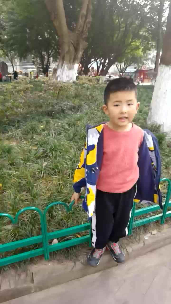 寻找玉兰花.mp4