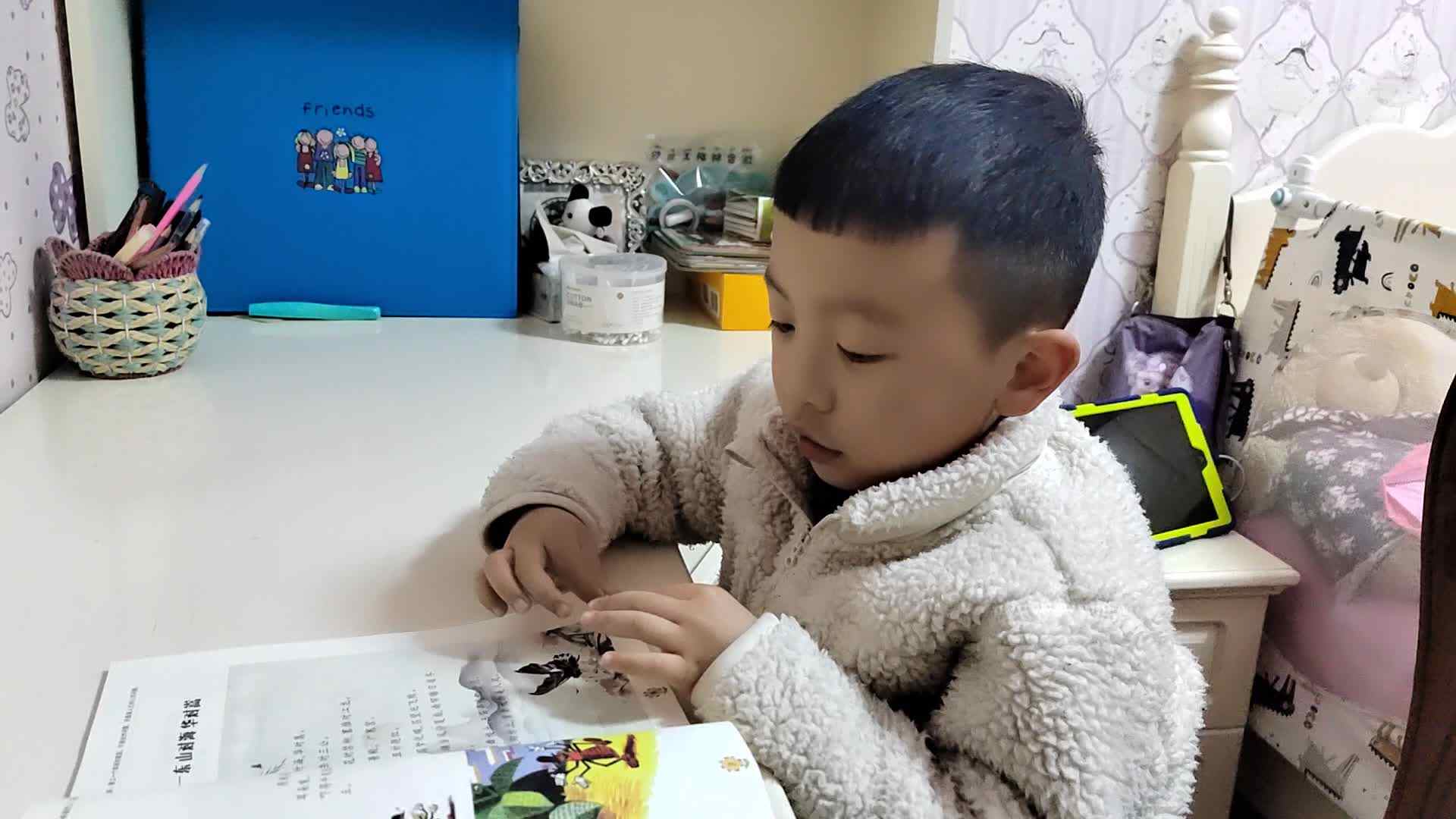 山对海 华对嵩.mp4