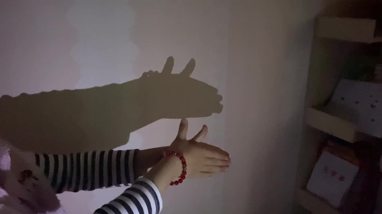 学B班高元曦手影游戏
