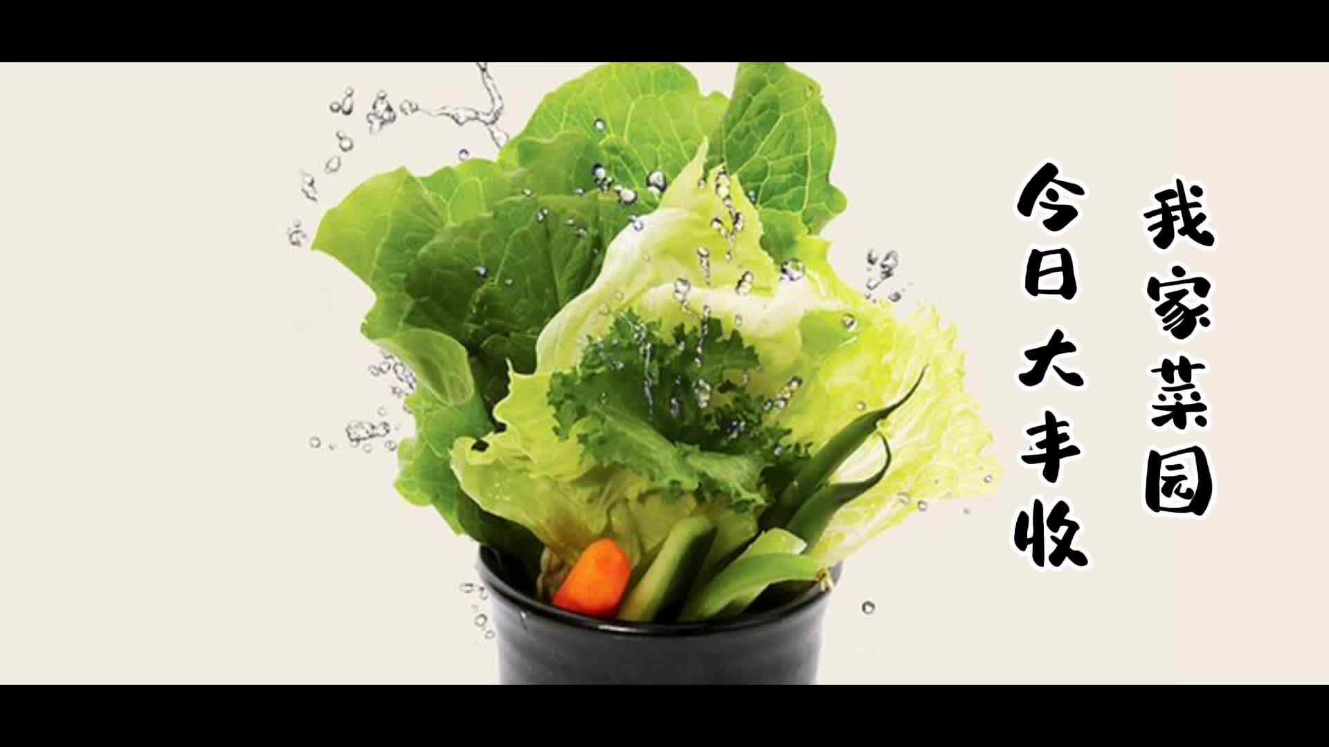 菜园大丰收