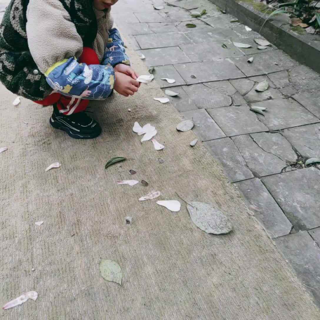 遇见玉兰花
