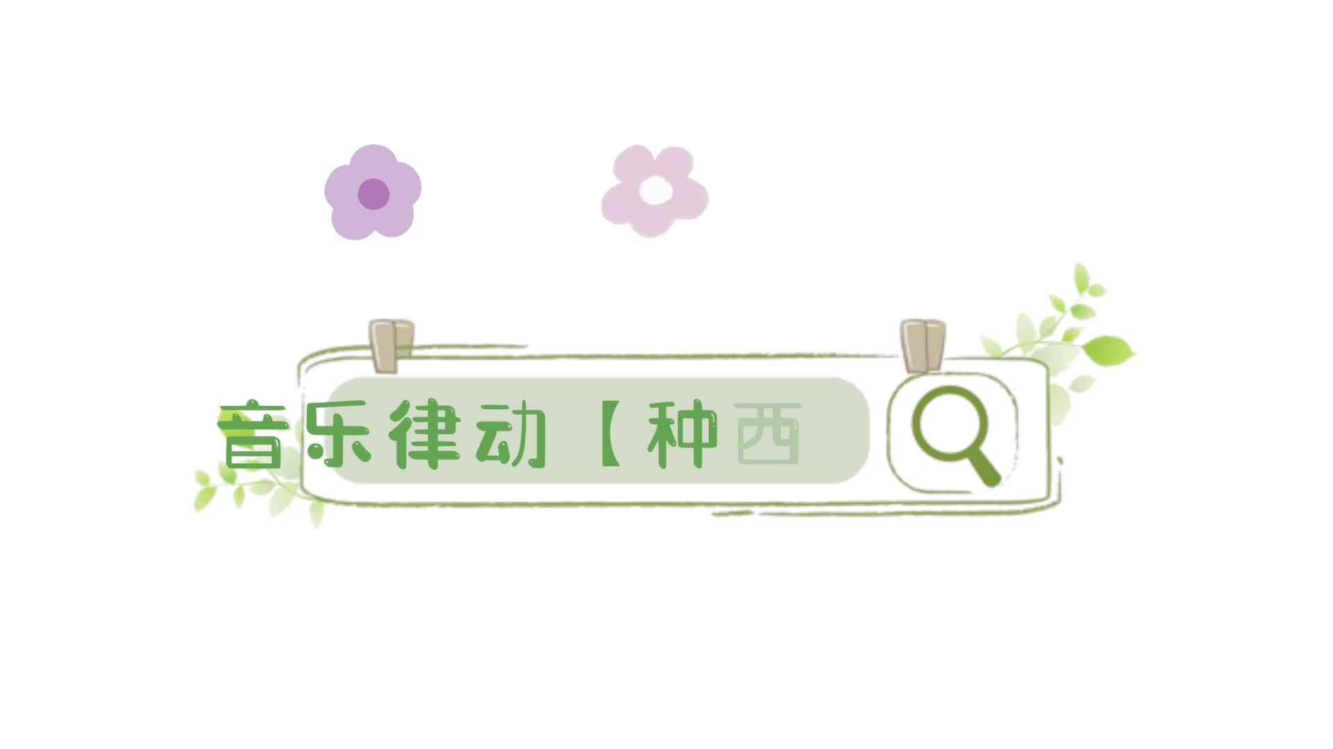 音乐律动《种西瓜》