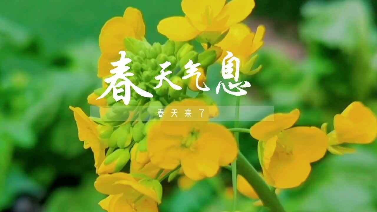 春天的气息