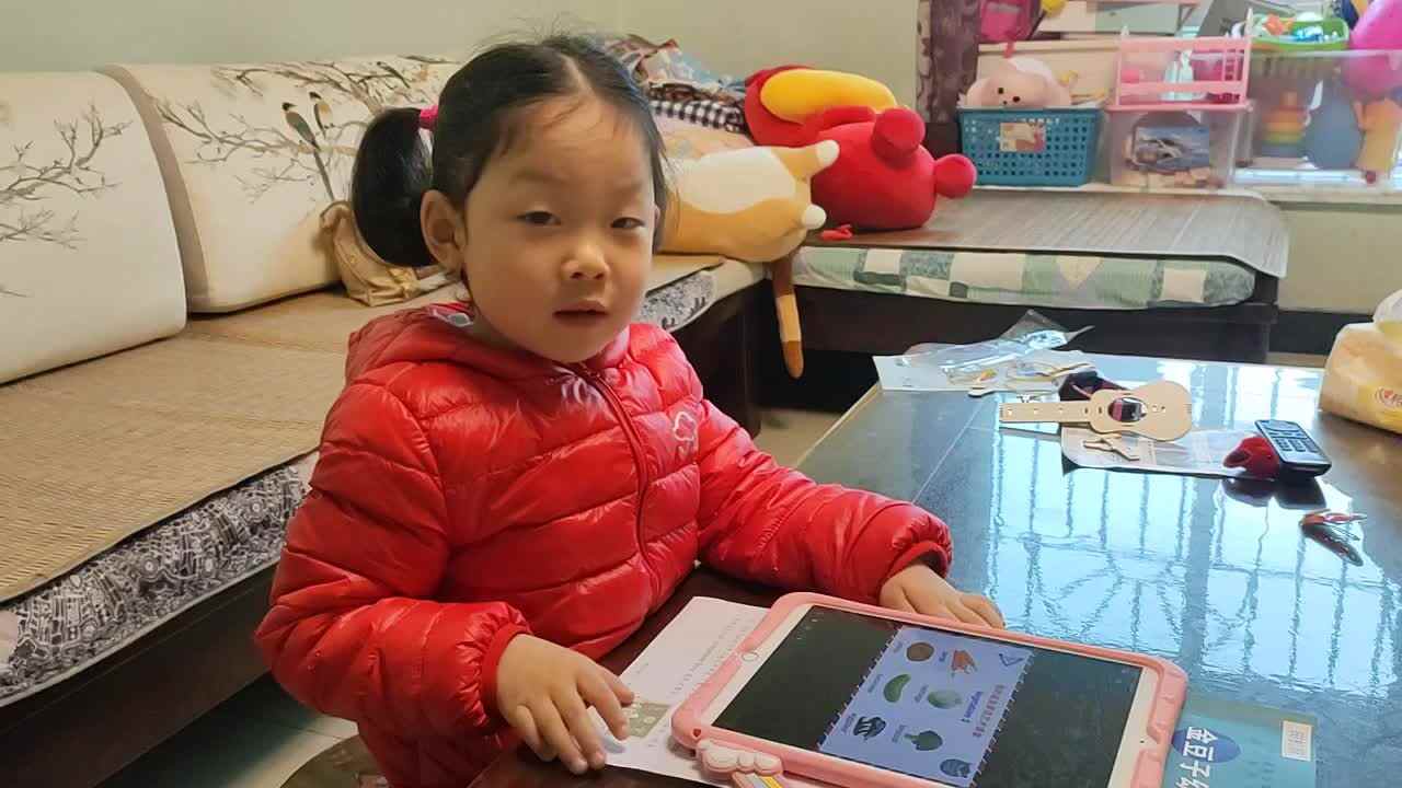 认识蔬菜.mp4