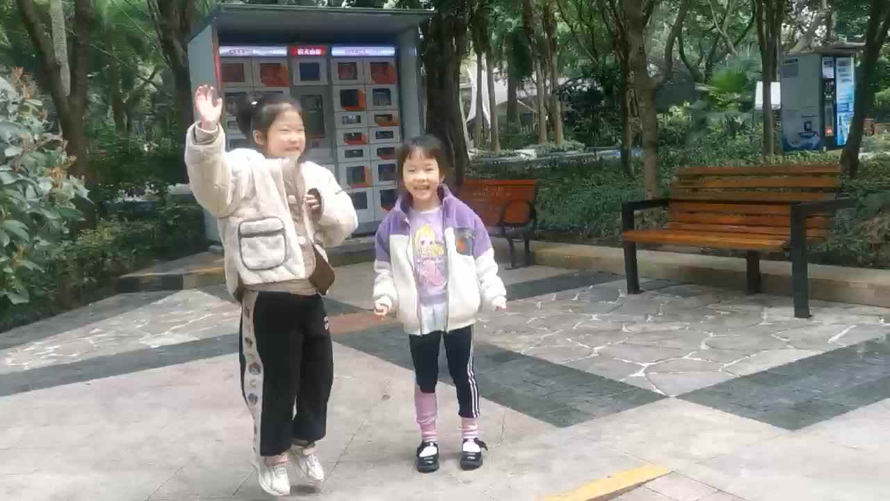 寻找玉兰花