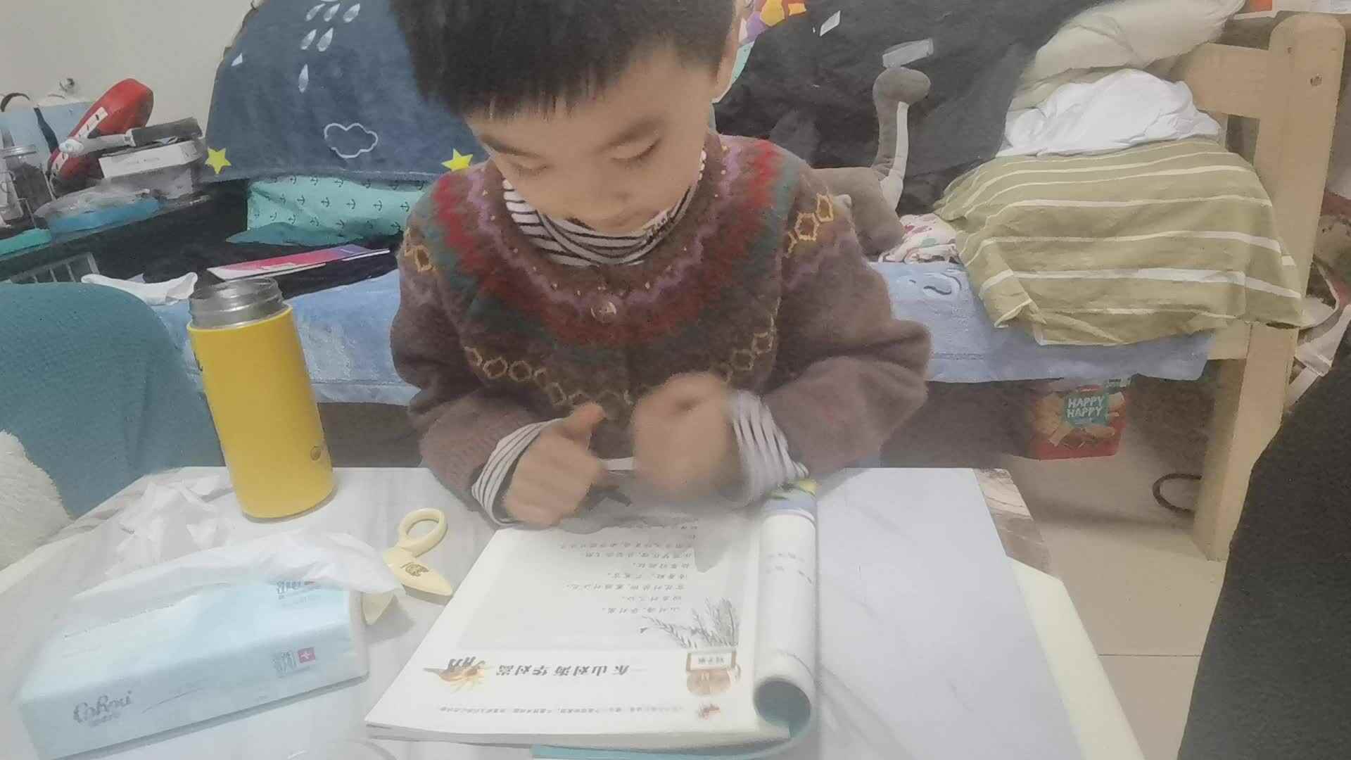 2023级大B班刘梓浩闯关练习.mp4