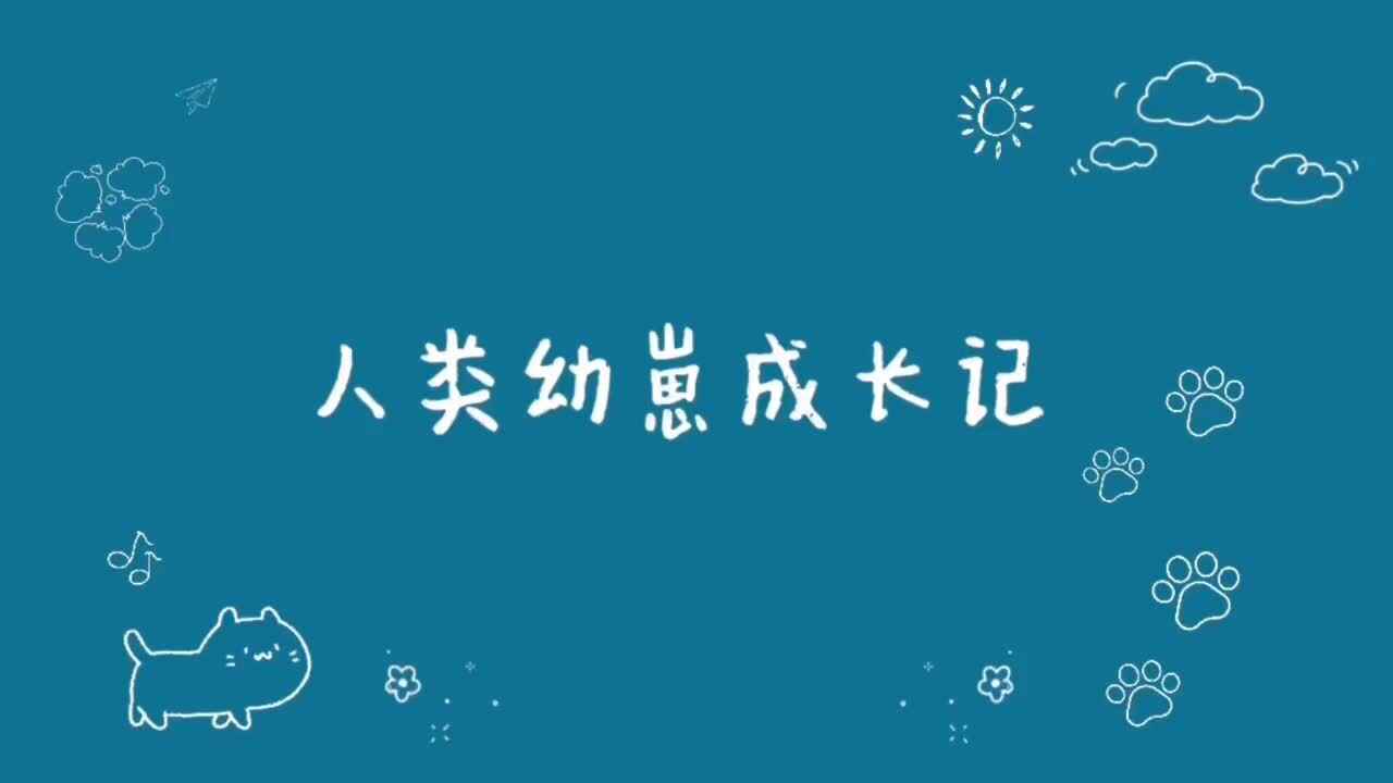 学前A班. 沈文昊 2022.3.1家庭作业.MOV