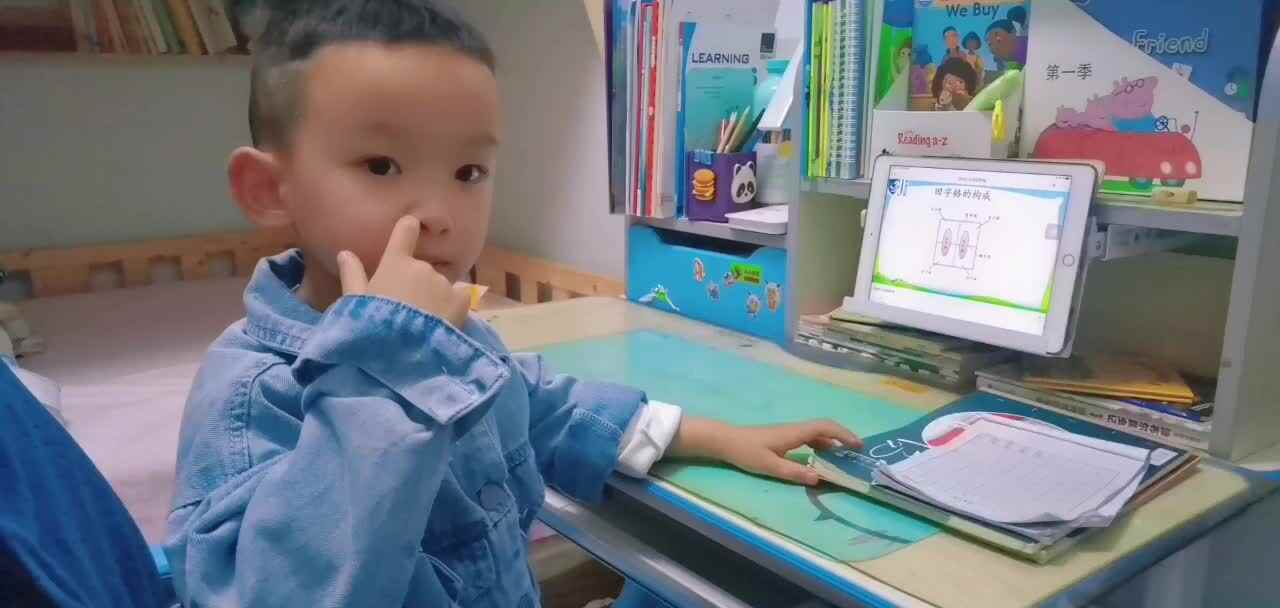 《介绍田字格》.mp4
