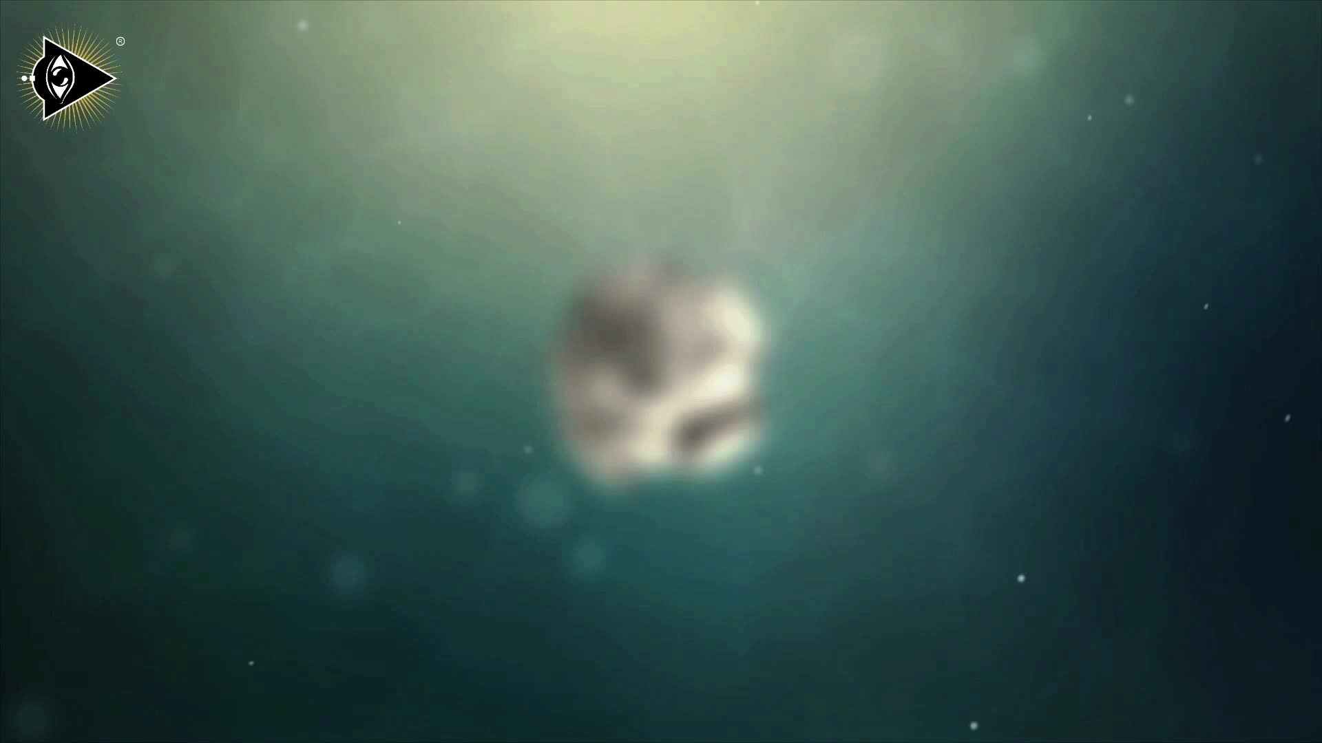 一花一世界