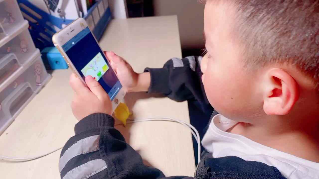 《单数和双数》