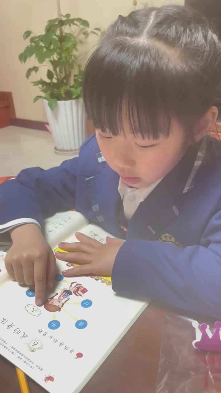 我的身体-各部分名称
