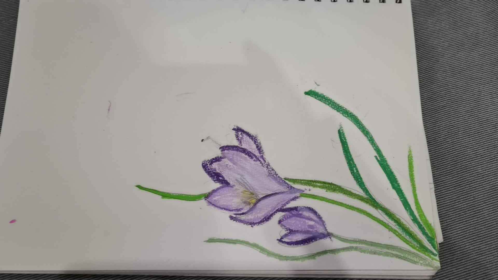 中A班张智研—藏红花手工