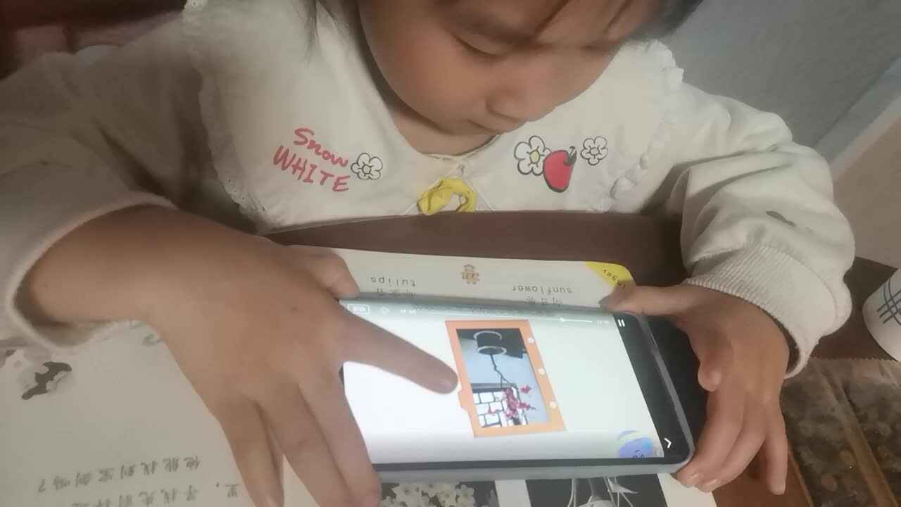 认识花卉