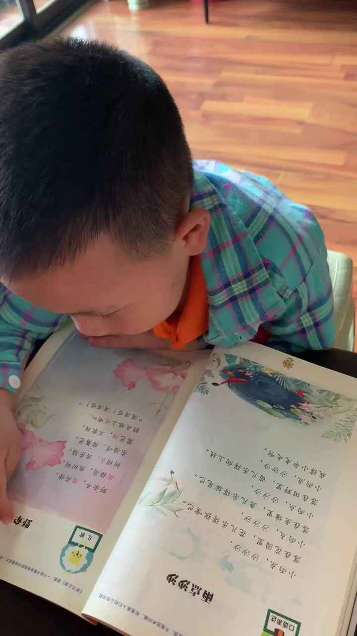 指读《野牵牛》