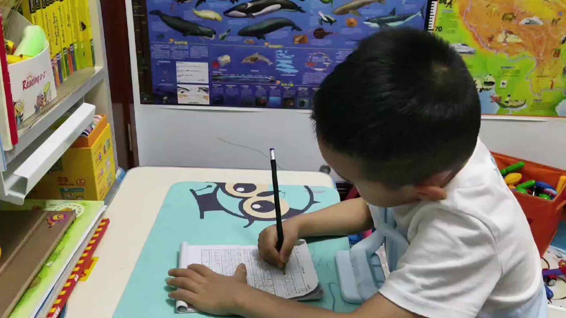 《书写数字26》.mp4